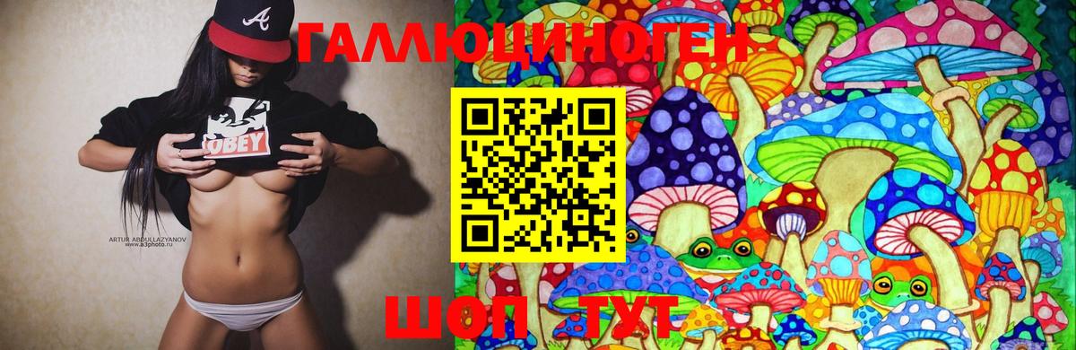 Псилоцибиновые грибы Psilocybine cubensis Избербаш